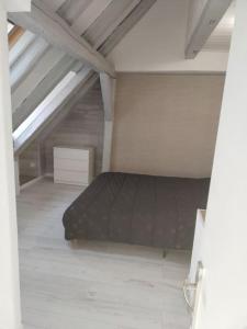 a large room with a bed in a attic at Charmant appartement cosy in Sélestat