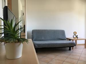 a living room with a couch and a potted plant at Trento Life in Trento