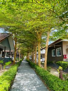 a tree lined walkway in front of some houses at Bella Vista Beach Resort Koh Lipe in Ko Lipe