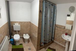 a bathroom with a shower and a toilet and a sink at Casa Maria in Vişeu de Sus +18 photos
