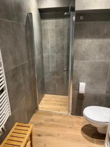 a bathroom with a shower and a toilet at Apartament Lisi Jar in Jastrzębia Góra