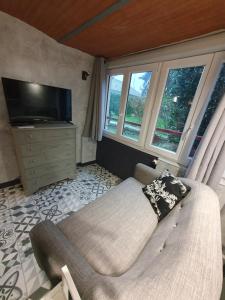 a living room with a couch and a tv and windows at la Villa Mancelle in Le Mans +5 photos