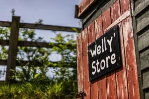 Galeriebild der Unterkunft The Edwardian Caravan 'Dora' in Lampeter + 17 Fotos