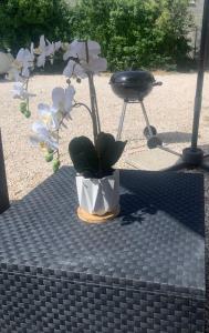 roślina w garnku siedząca na stole w obiekcie Cosy jacuzzi w Orange
