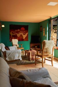 a living room with green walls and a couch and chairs at Kau Kaleshen in El Calafate