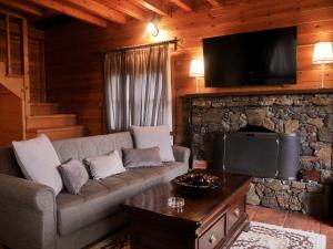 a living room with a couch and a flat screen tv at Dryades Suites in Synikia Mesi Trikalon