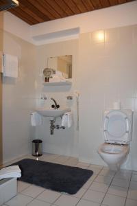 a bathroom with a toilet and a sink at Hotel Santana in Roveredo