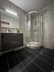 a bathroom with a shower and a sink at l'écrin de la mairie in Colombes