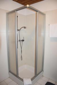 y baño con ducha y puerta de cristal. en Hotel Santana, en Roveredo