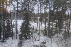 een uitzicht op een bos met sneeuw en bomen bij Mediocre budget 2 rm apartment in Merirauma in Rauma
