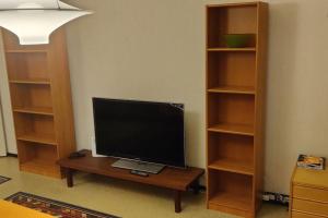 een televisie op een tafel in een kamer bij Mediocre budget 2 rm apartment in Merirauma in Rauma
