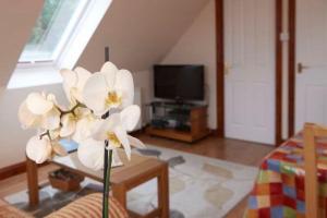 a white flower in a living room with a tv at The Mews Apartment at Daviot Lodge in Inverness