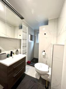 a bathroom with a toilet and a sink and a shower at G&N City Apartment Baden-Baden in Baden-Baden