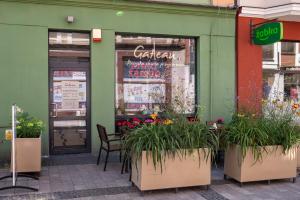 Zdjęcie z galerii obiektu Central Platinum Apartments 14 w Rybniku
