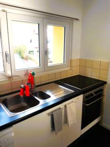 uma cozinha com um lavatório e duas janelas em Interlaken City Apartments em Interlaken