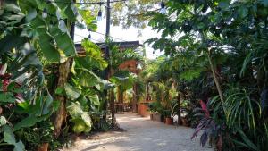 a path in a garden with lots of plants at Zulu Surf Hotel Tamarindo in Tamarindo