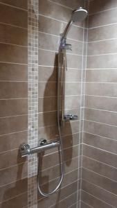 a shower with a shower head in a bathroom at Grange en pierres. Grand jardin et belle vue in Saurat