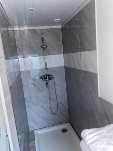 ein Bad mit einer Dusche und einem WC in der Unterkunft La Dilichambre in Carcagny