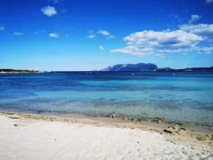 a beach with blue water and a mountain in the background at Sealine Villa with an amazing view of Tavolara in Olbia