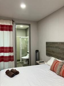 a bedroom with a white bed and a bathroom at Casa Biznaga in Oaxaca City