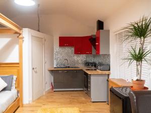 a kitchen with red cabinets in a room at Ty Afon Arch - Uk38515 in Garnant