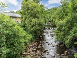 a river with rocks and trees next to a house at Ty Afon Arch - Uk38515 in Garnant