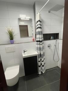een badkamer met een wastafel, een toilet en een douche bij Auf der Alm 21 N.1 in Baden-Baden