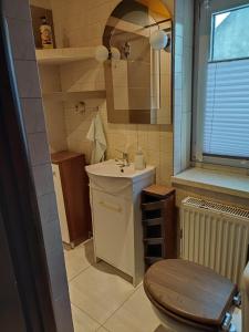 uma casa de banho com um lavatório, um WC e um espelho. em Pokoje pracownicze Witkowska em Gniezno