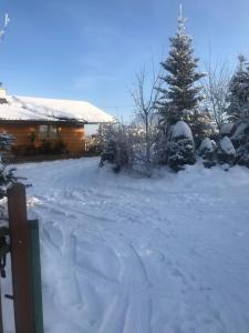 a snow covered yard with a house and a christmas tree at Domek na wyłączność z dużym ogrodem in Jabłonka