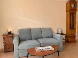 a living room with a blue couch and a table at Apartamento Casa Francho 2 in Panticosa +7 photos