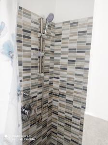 a shower in a bathroom with a tiled wall at Il Bungalow di Villa Mirko in Vaccarizzo - Delfino
