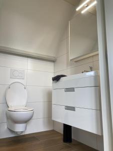a bathroom with a toilet and a sink at Landhuis 'De Ontspanning' in Axel