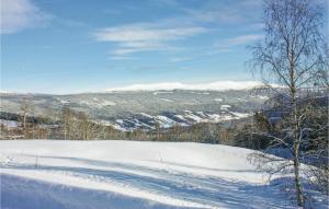 una colina cubierta de nieve con árboles y montañas al fondo en Awesome Home In Lom With Wifi, en Frisvoll