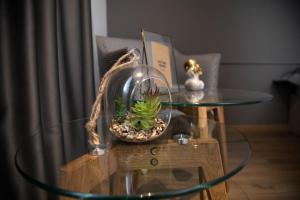 Fotografie z fotogalerie ubytování Triss Hotel v destinaci Tirana