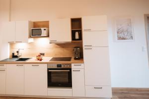 Kuchyňa alebo kuchynka v ubytovaní Die Wiesen Apartments