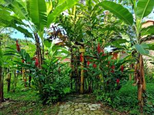 Um jardim no exterior de Cambuca Surf Skate