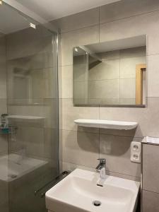 La salle de bains est pourvue d'un lavabo et d'une douche en verre. dans l'établissement Idyllisch gelegene Ferienwohnung im Herzen des bayerischen Waldes, à Zachenberg