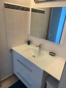 La salle de bains est pourvue d'un lavabo blanc et d'un miroir. dans l'établissement Appartement Cosy Pointe-à-Pitre, à Pointe-à-Pitre