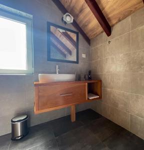 un bagno con lavandino e specchio di Vila Davidovic-Fruska gora a Manđelos