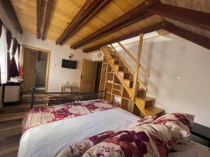 Letto o letti in una camera di Vila Davidovic-Fruska gora