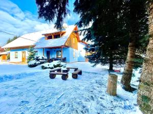 a house with a picnic table in the snow at KAPINA sk - Holiday Homes in Žiar