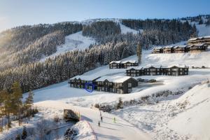 eine Luftansicht einer Skihütte im Schnee in der Unterkunft New modern apartment with great view - ski in & out in Skulestadmo