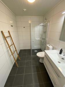 een badkamer met een douche, een toilet en een wastafel bij New modern apartment with great view - ski in & out in Skulestadmo