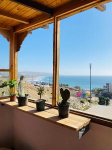 een raam met potplanten op een richel met een strand bij Azoul Surf Hostel Taghazout in Taghazout