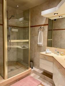een badkamer met een douche en een wastafel bij Comfy, cosy, and spacious apartment near Paris in Bezons