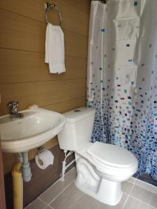 a bathroom with a white toilet and a sink at Glamping Tiny house 