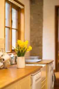 um vaso de flores amarelas sentado no balcão da cozinha em The Byre em Goodleigh