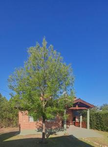 Ein Baum steht vor einem Haus in der Unterkunft Cabañas Comodoro in Mina Clavero