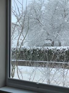 een raam met uitzicht op een met sneeuw bedekte tuin bij ALB-APARTMENT-WESTERHEIM Kurort in Westerheim