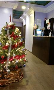 Un árbol de Navidad está en una habitación con acceso en Hostal Corazón de Madrid, en Madrid